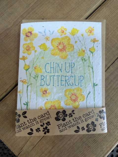 Chin up seeded card